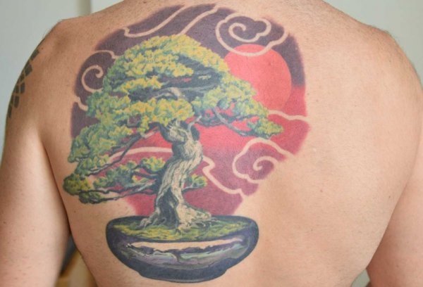 Pohon bonsai dengan akar yang kuat